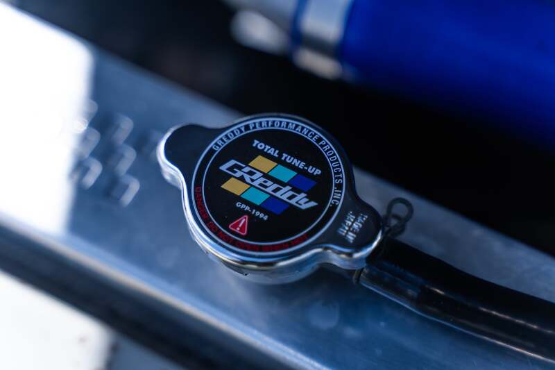 Photo - Close Up